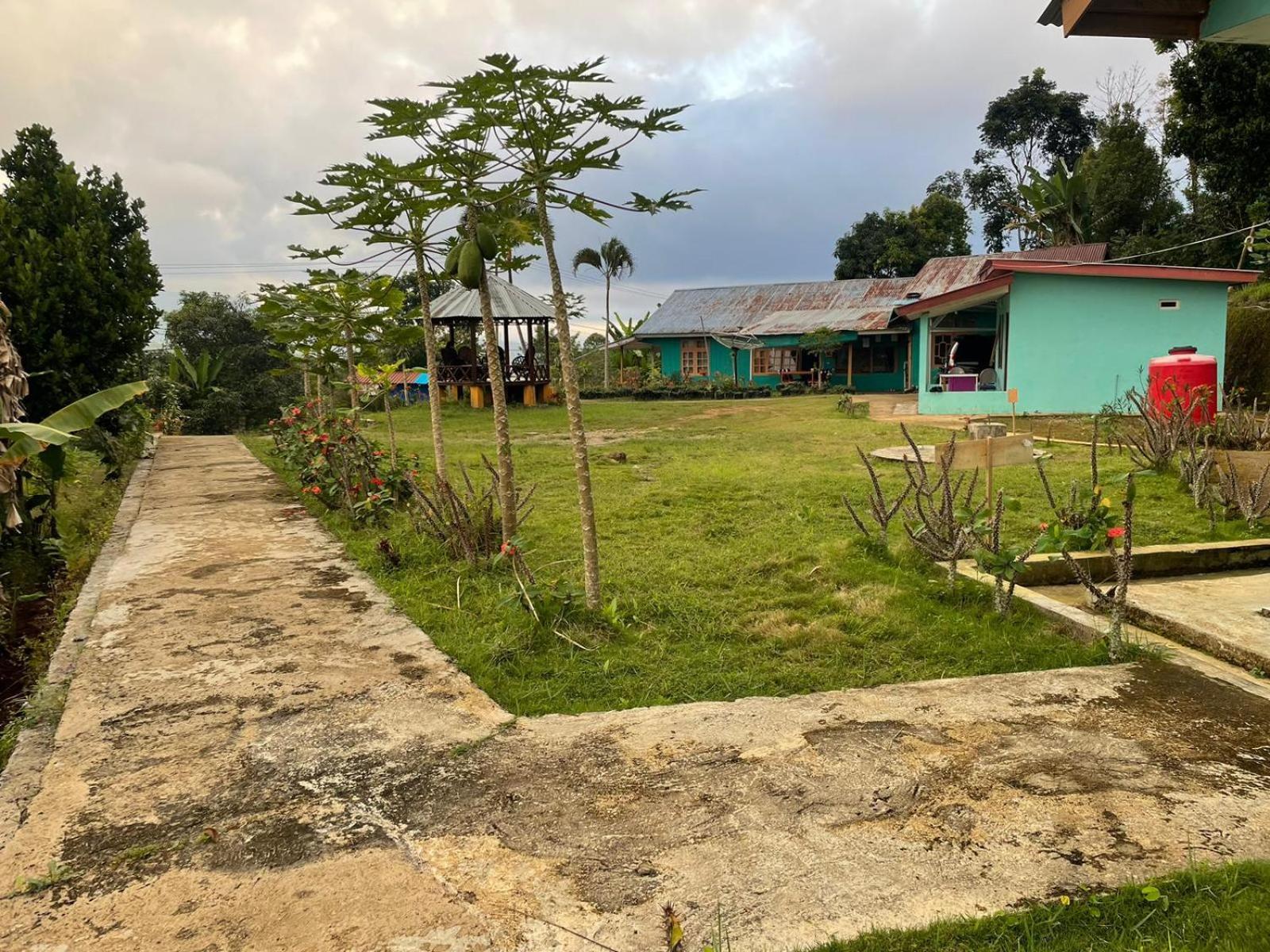 Hobbit Hill Apartment Ruteng Exterior photo
